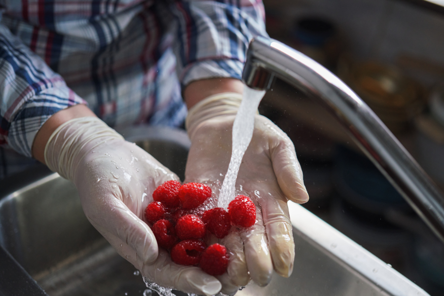 HACCP Food Safety – Level 1